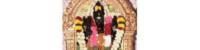 கணபதி விஸ்வநாதசாமி